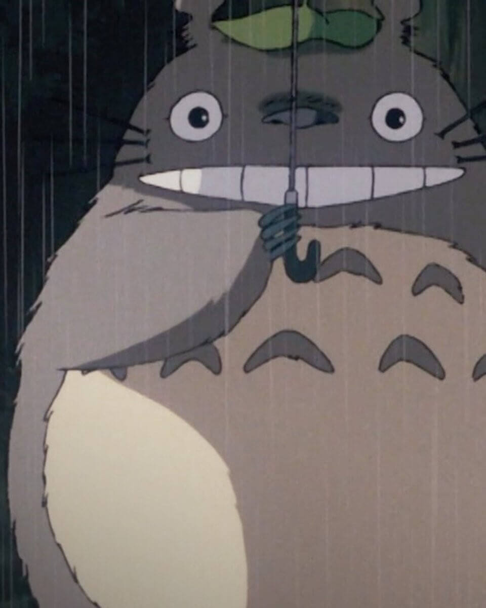 Totoro-oh, the king of Totoro.